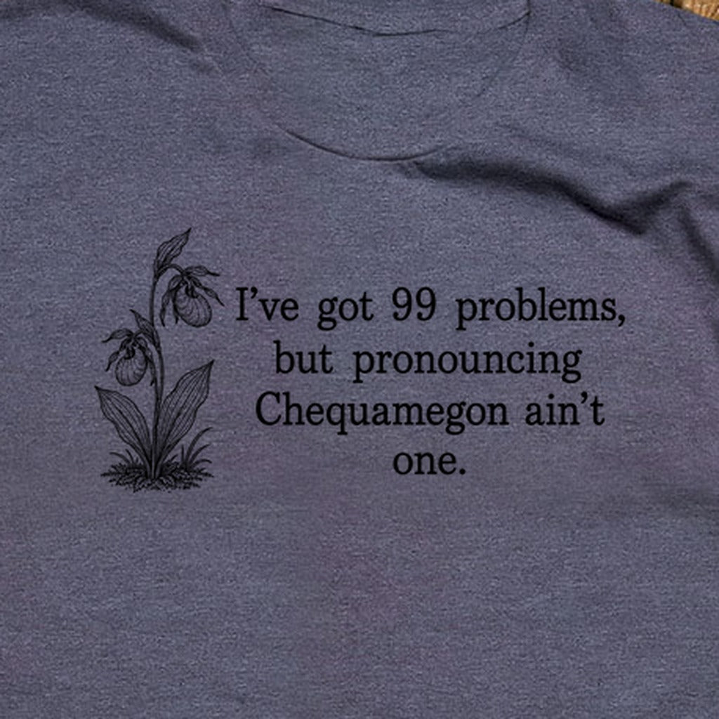 99 Problems Chequamegon Ain't One T-Shirt