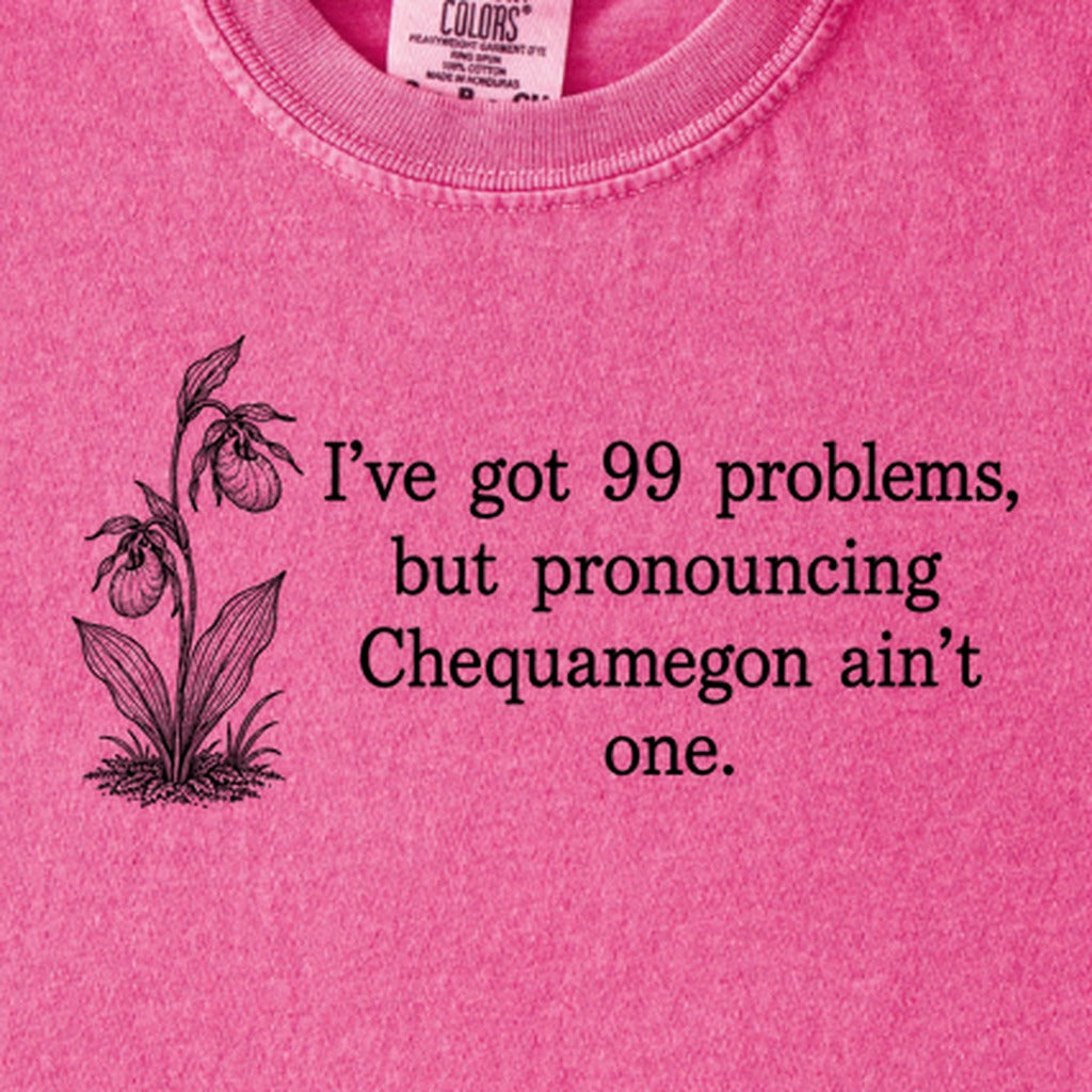 99 Problems Chequamegon Ain't One Kids Cotton T-Shirt