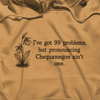 99 Problems Chequamegon Ain't One Hoodie