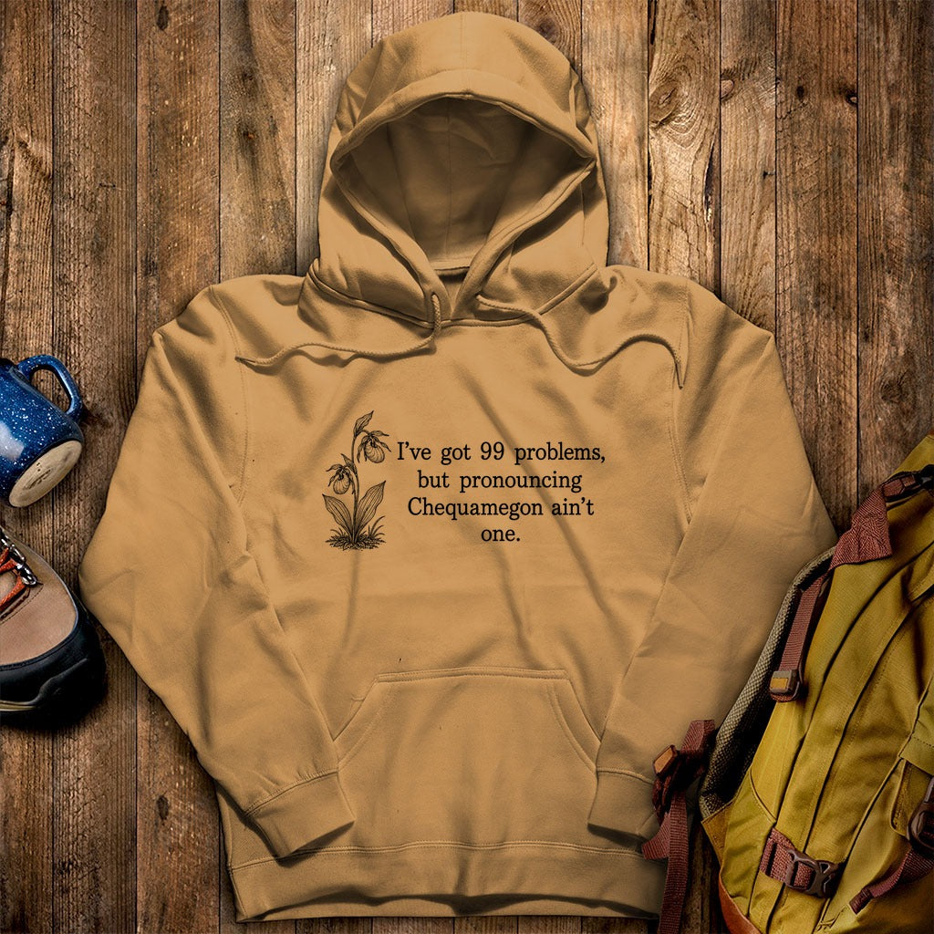 99 Problems Chequamegon Ain't One Hoodie