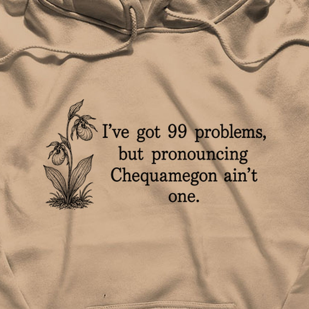 99 Problems Chequamegon Ain't One Hoodie