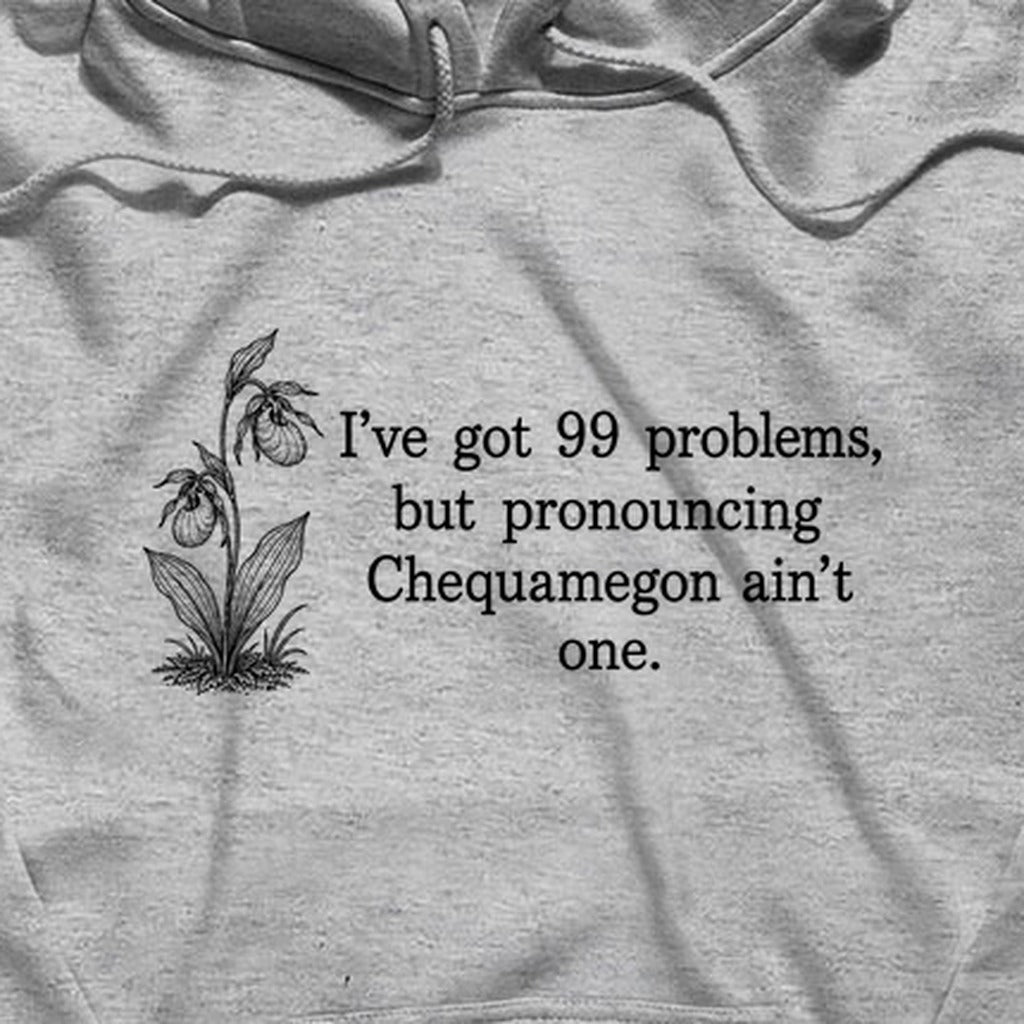 99 Problems Chequamegon Ain't One Hoodie