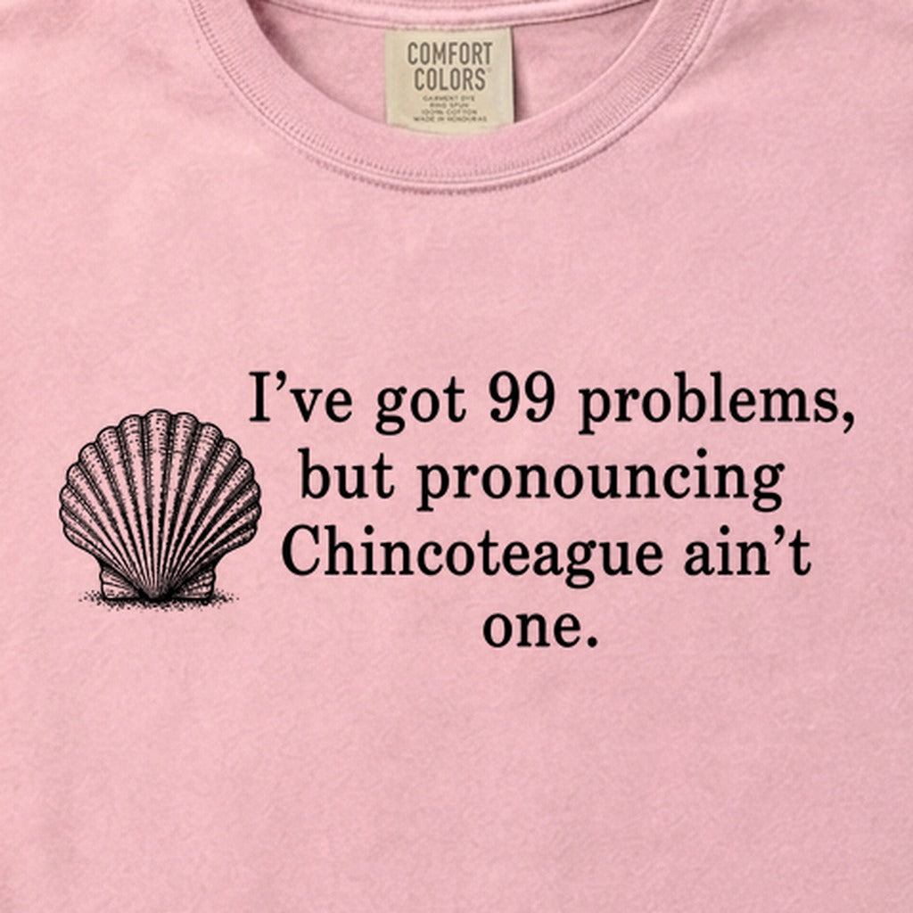 99 Problems Chincoteague Ain't One Cotton T-Shirt