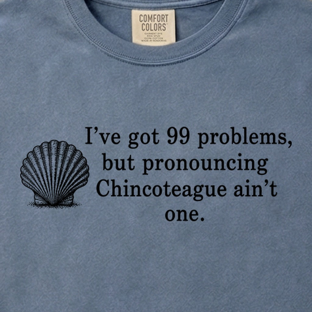 99 Problems Chincoteague Ain't One Cotton T-Shirt