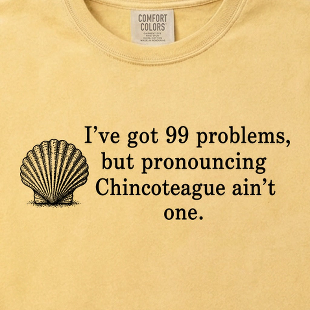 99 Problems Chincoteague Ain't One Cotton T-Shirt