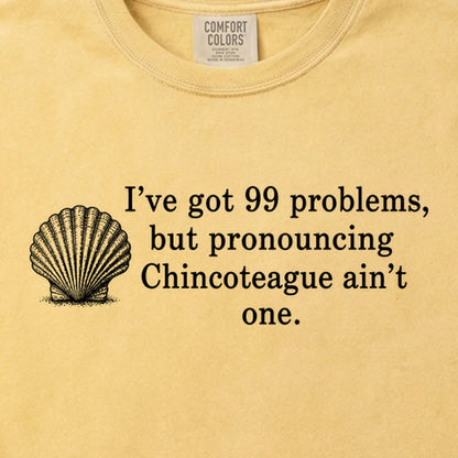 99 Problems Chincoteague Ain't One Cotton T-Shirt