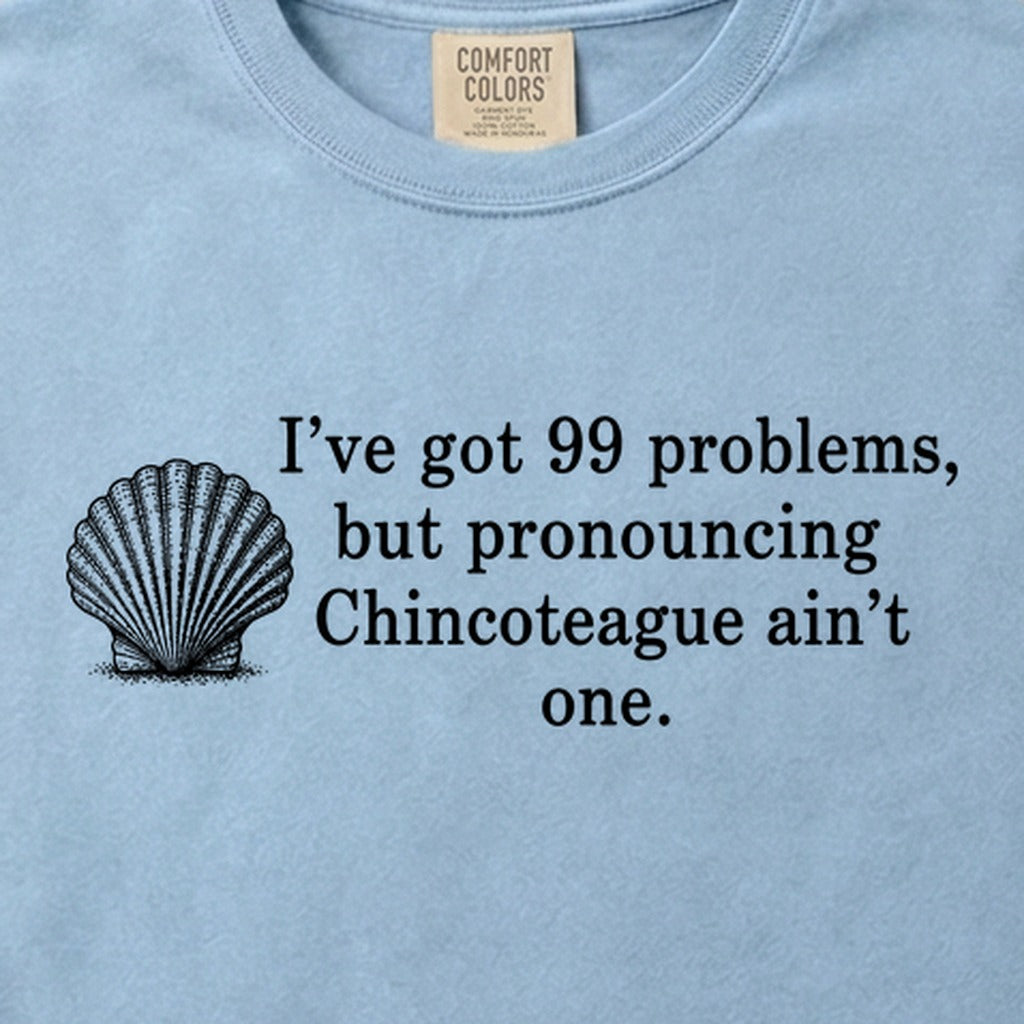 99 Problems Chincoteague Ain't One Cotton T-Shirt