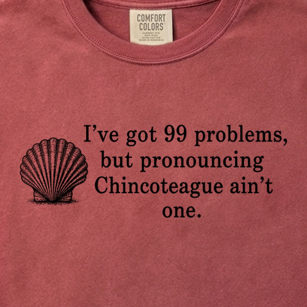 99 Problems Chincoteague Ain't One Cotton T-Shirt