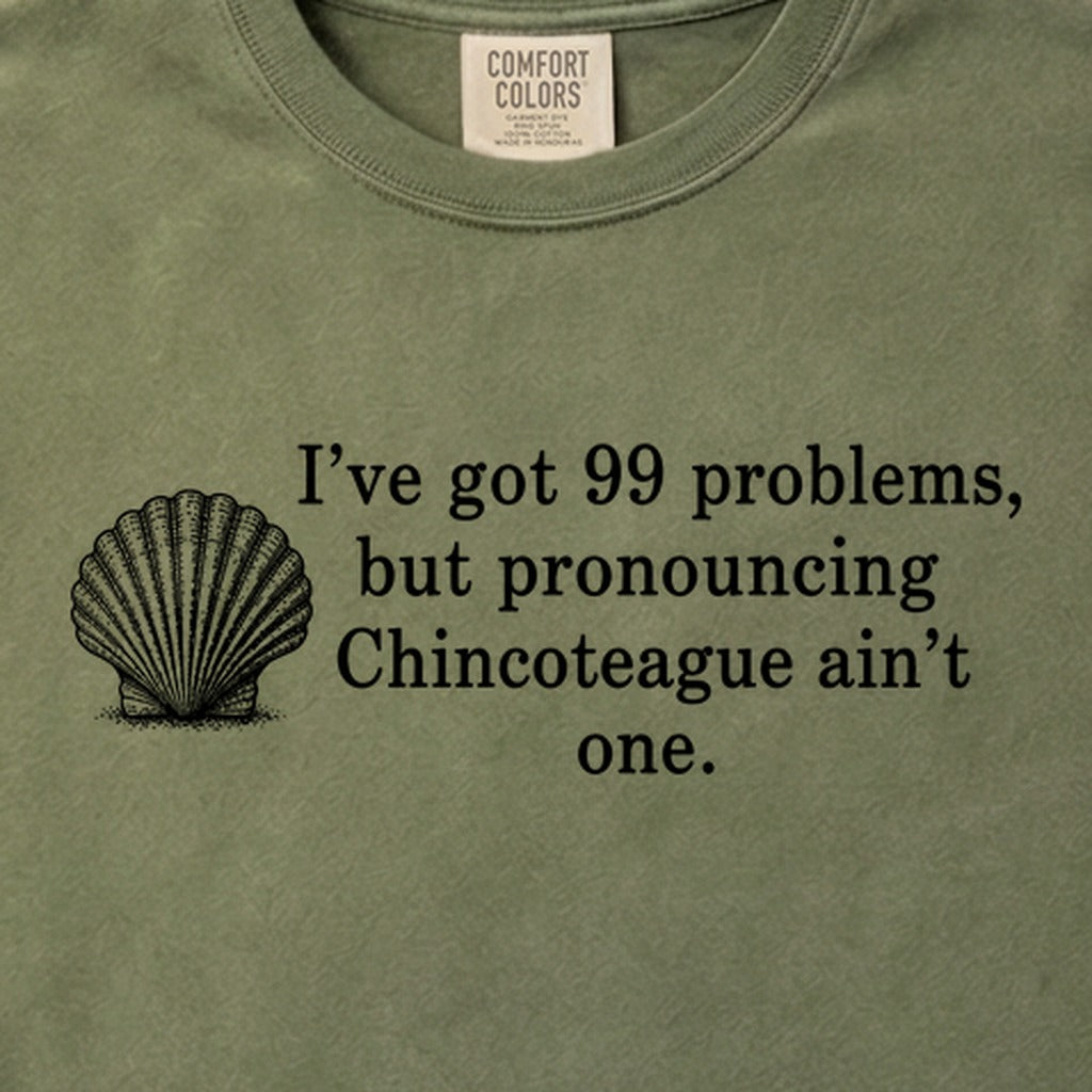 99 Problems Chincoteague Ain't One Cotton T-Shirt