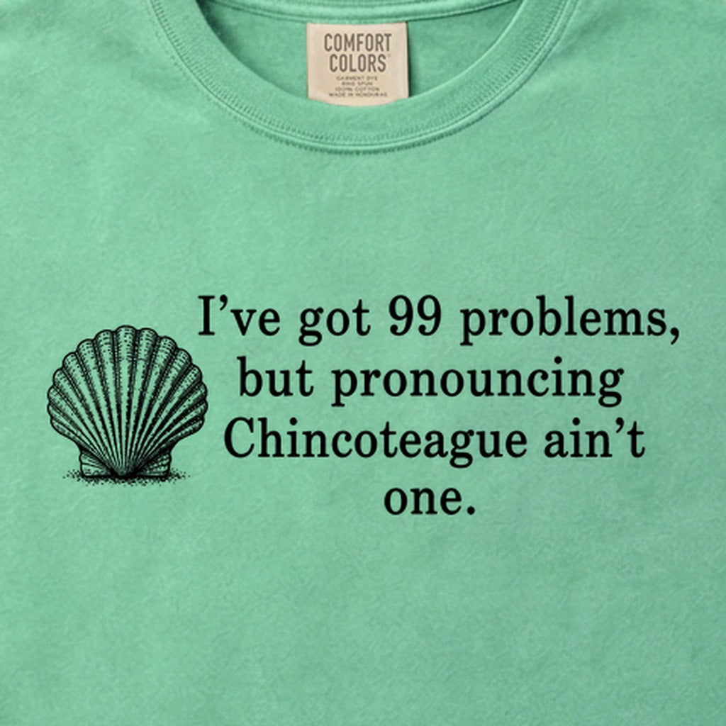 99 Problems Chincoteague Ain't One Cotton T-Shirt