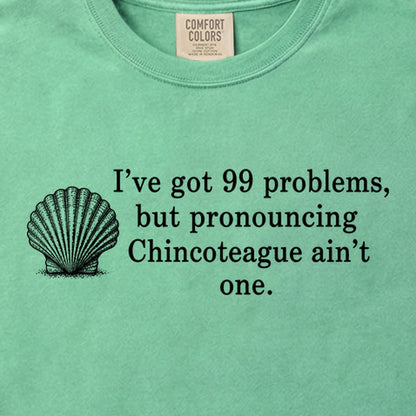99 Problems Chincoteague Ain't One Cotton T-Shirt