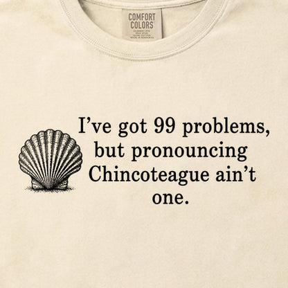 99 Problems Chincoteague Ain't One Cotton T-Shirt