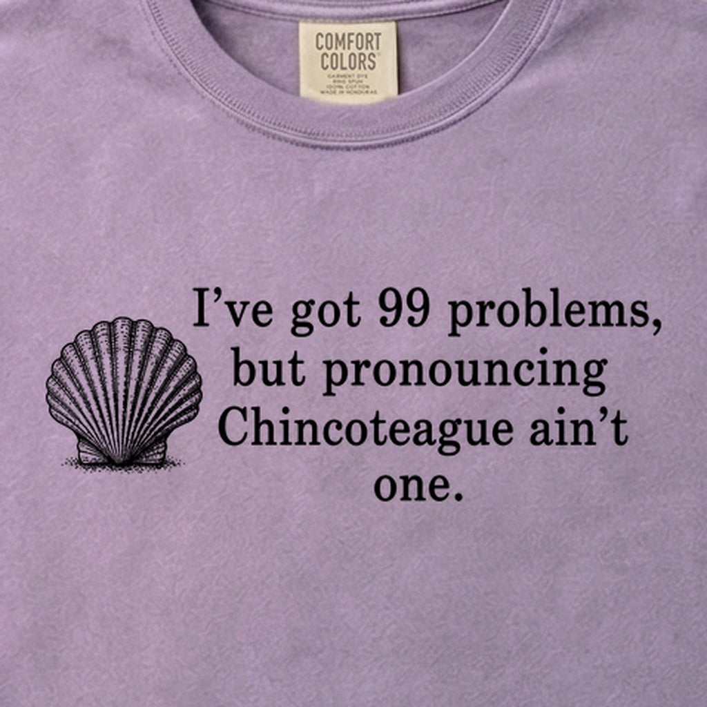 99 Problems Chincoteague Ain't One Cotton T-Shirt