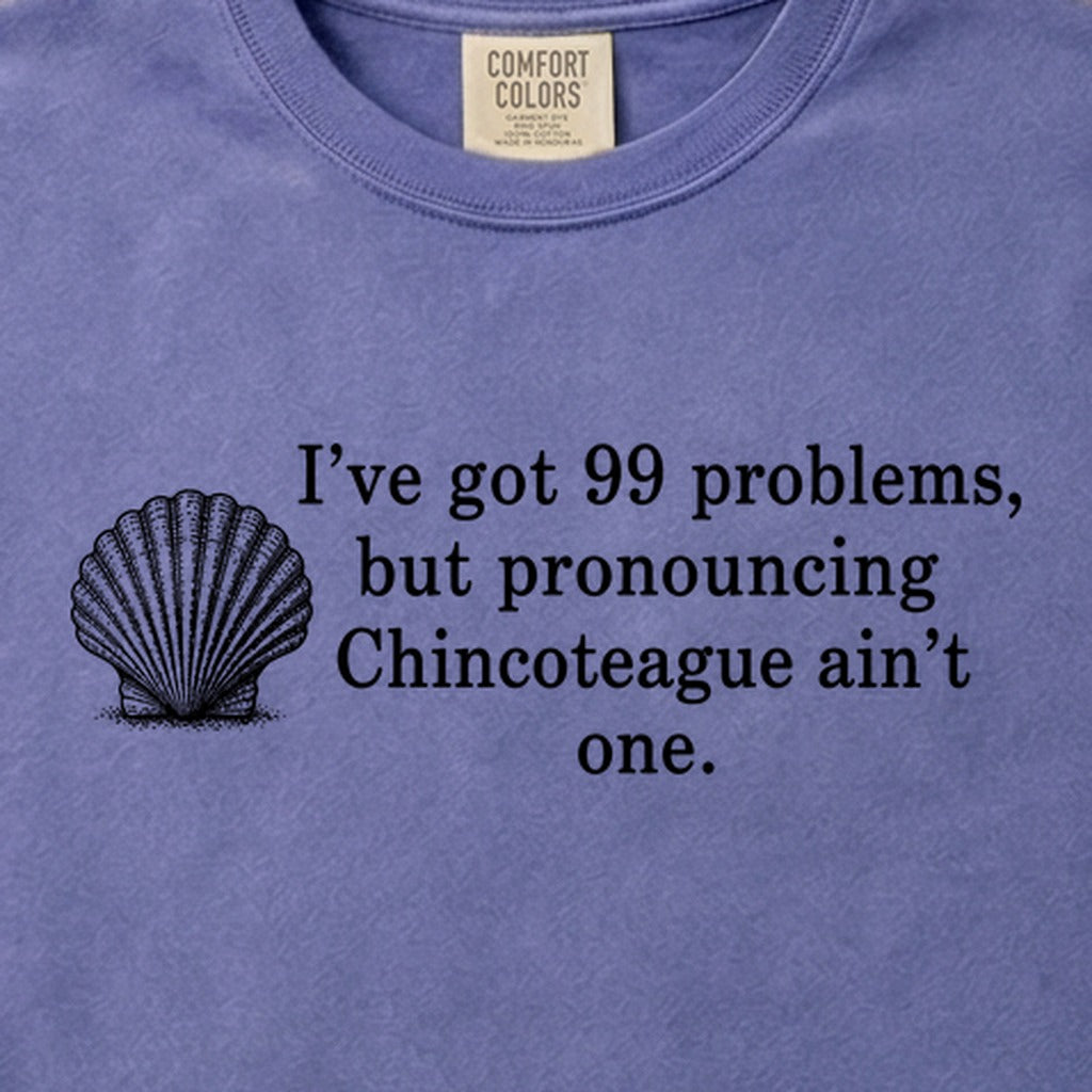 99 Problems Chincoteague Ain't One Cotton T-Shirt