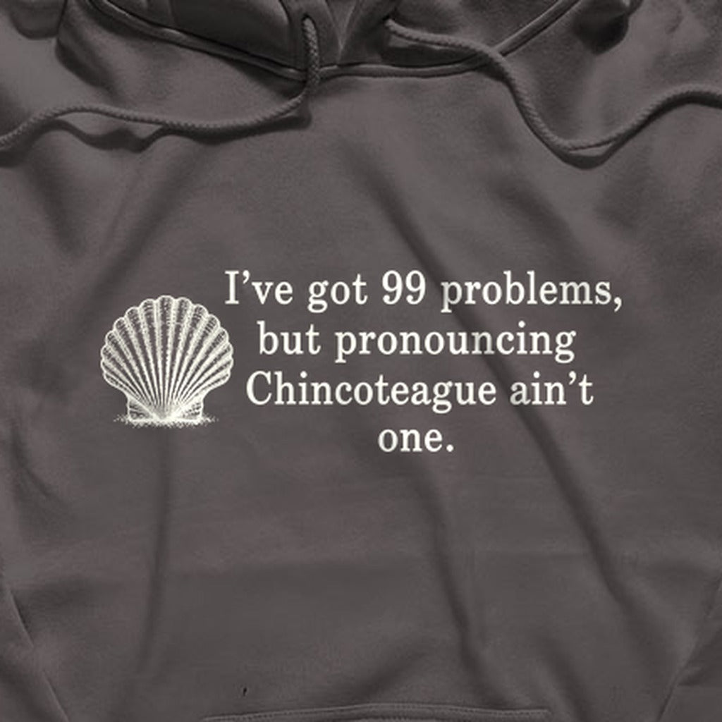 99 Problems Chincoteague Ain't One Hoodie