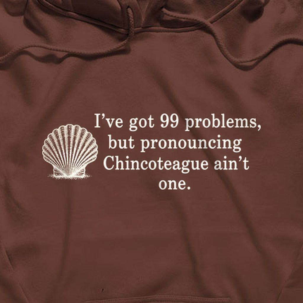 99 Problems Chincoteague Ain't One Hoodie