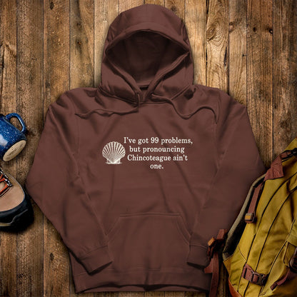 99 Problems Chincoteague Ain't One Hoodie