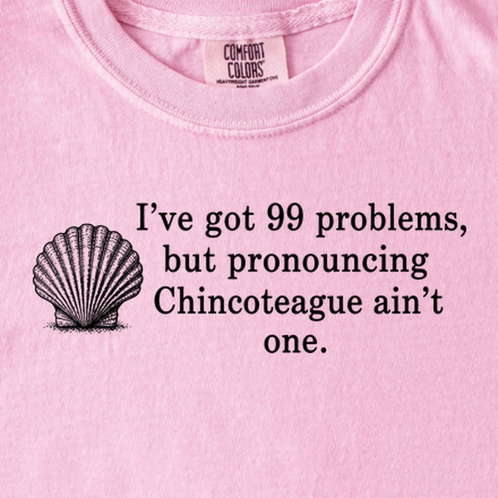 99 Problems Chincoteague Ain't One Kids Cotton T-Shirt