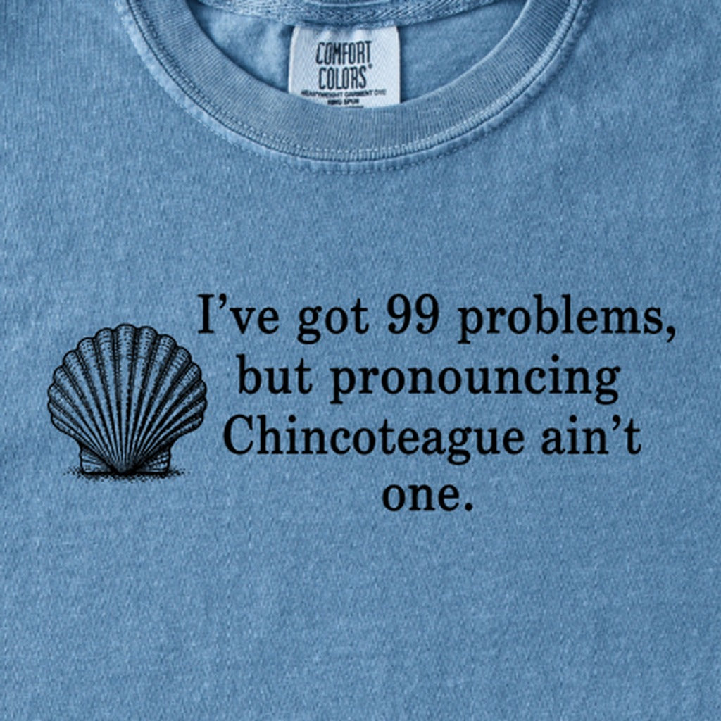 99 Problems Chincoteague Ain't One Kids Cotton T-Shirt