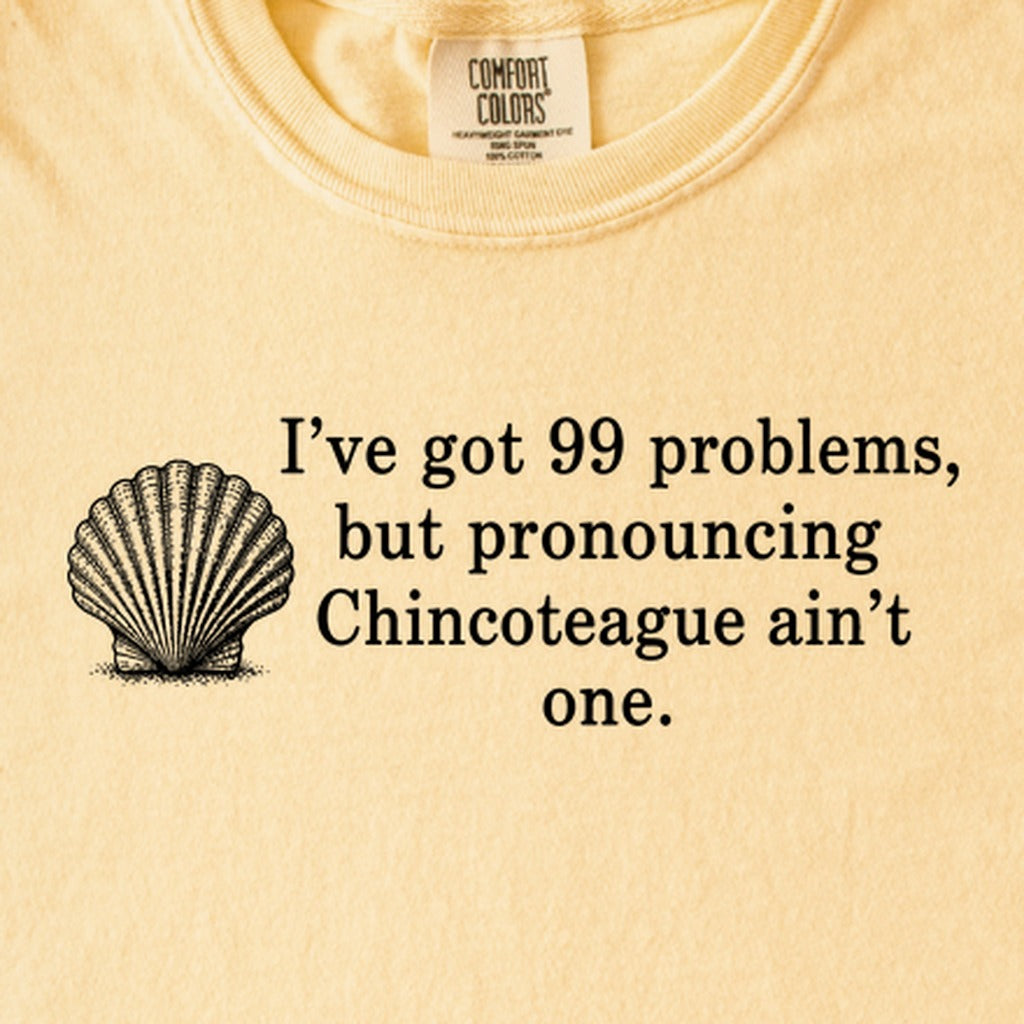 99 Problems Chincoteague Ain't One Kids Cotton T-Shirt