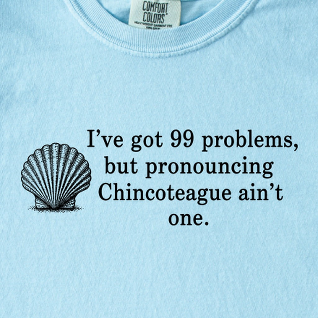 99 Problems Chincoteague Ain't One Kids Cotton T-Shirt