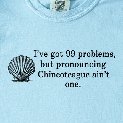 99 Problems Chincoteague Ain't One Kids Cotton T-Shirt