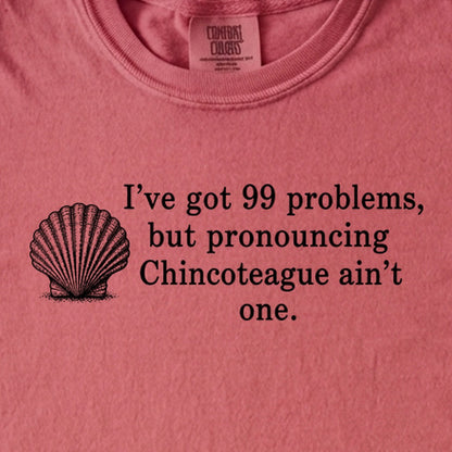 99 Problems Chincoteague Ain't One Kids Cotton T-Shirt