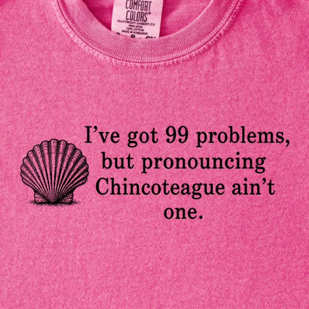 99 Problems Chincoteague Ain't One Kids Cotton T-Shirt