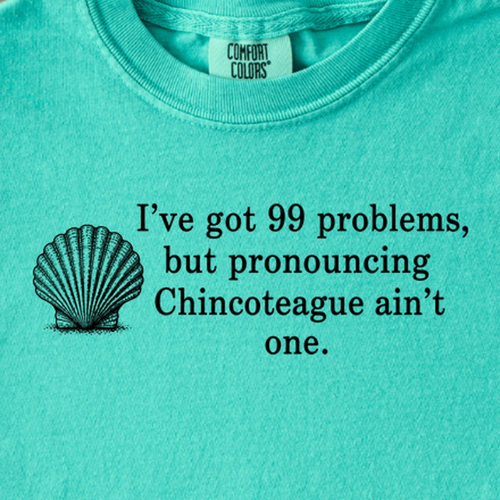 99 Problems Chincoteague Ain't One Kids Cotton T-Shirt