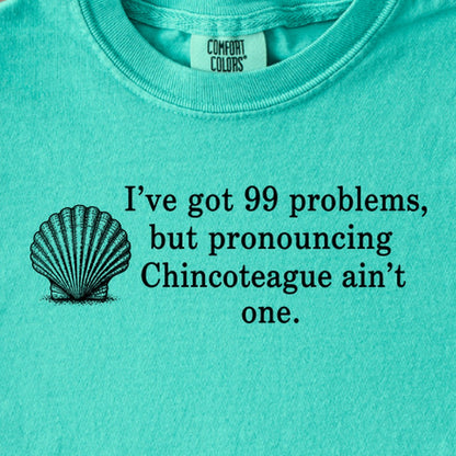 99 Problems Chincoteague Ain't One Kids Cotton T-Shirt