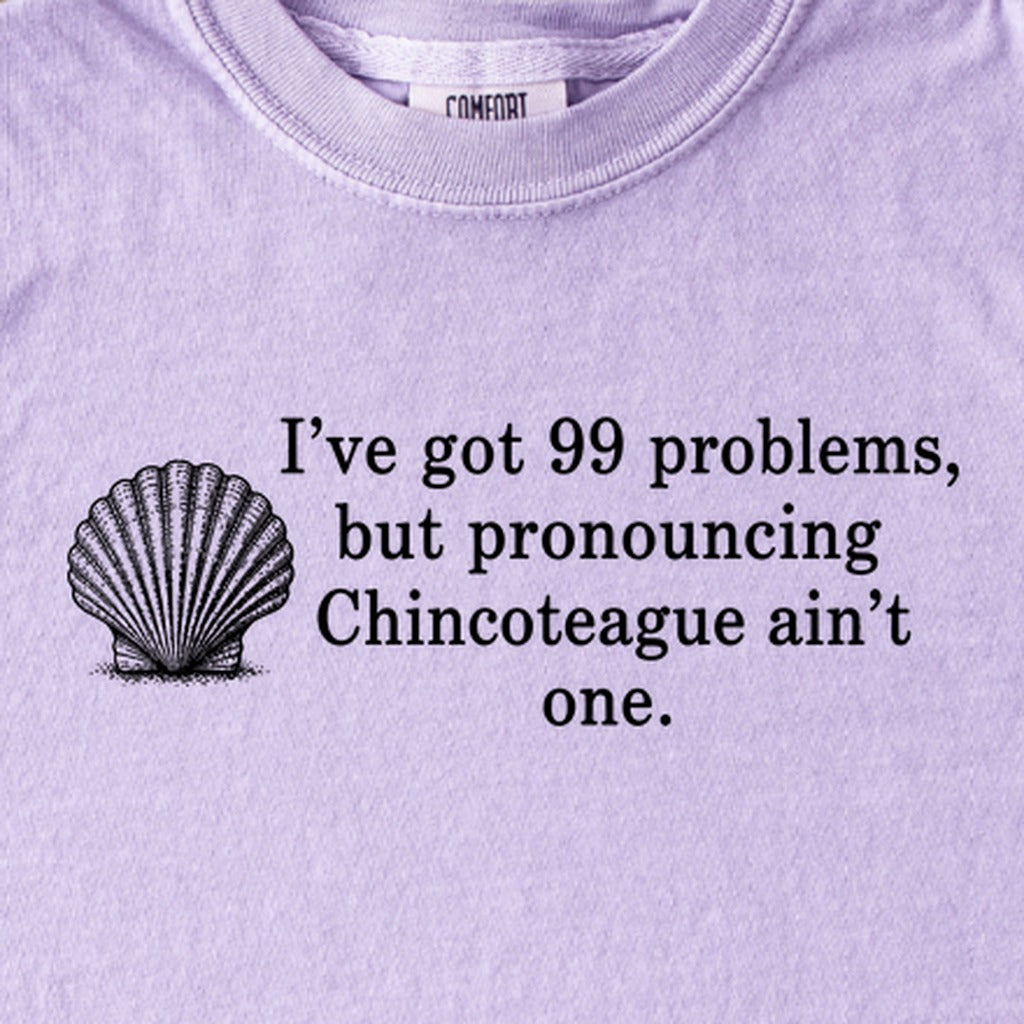 99 Problems Chincoteague Ain't One Kids Cotton T-Shirt