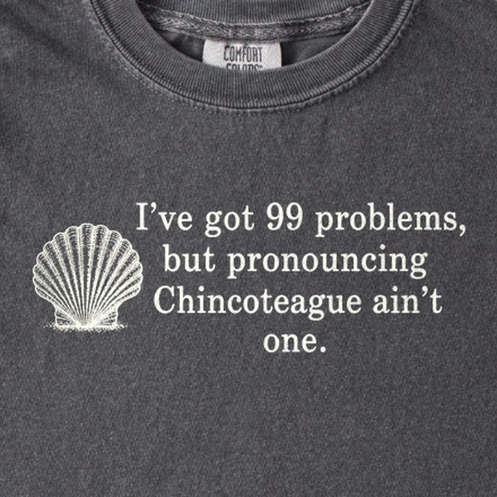 99 Problems Chincoteague Ain't One Kids Cotton T-Shirt