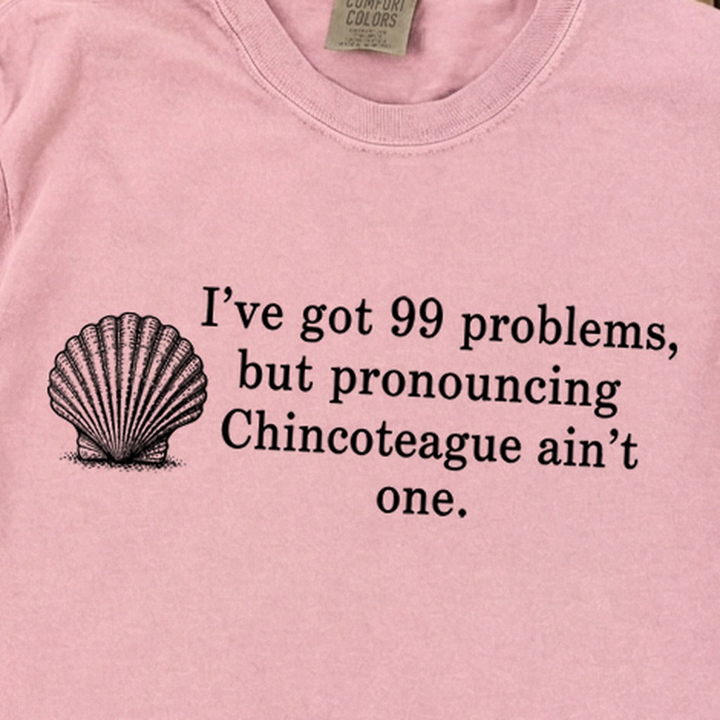 99 Problems Chincoteague Ain't One Premium Long Sleeve