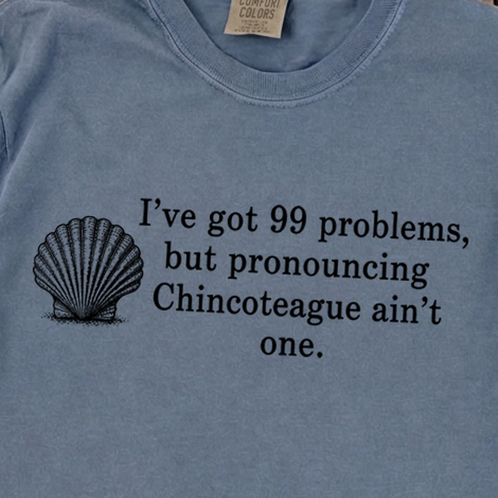 99 Problems Chincoteague Ain't One Premium Long Sleeve