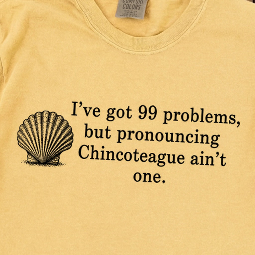99 Problems Chincoteague Ain't One Premium Long Sleeve
