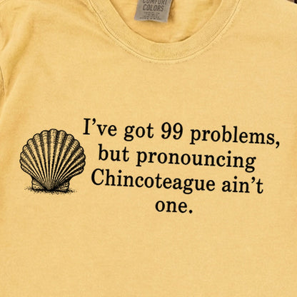 99 Problems Chincoteague Ain't One Premium Long Sleeve