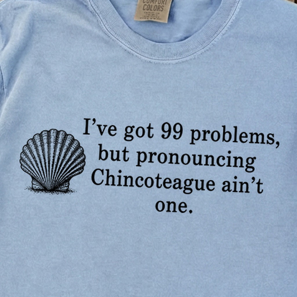 99 Problems Chincoteague Ain't One Premium Long Sleeve