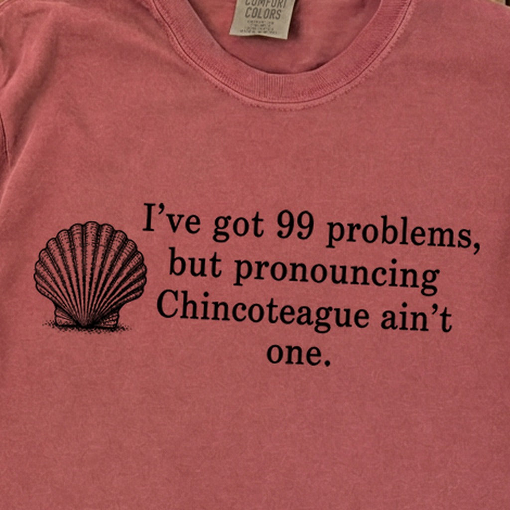 99 Problems Chincoteague Ain't One Premium Long Sleeve