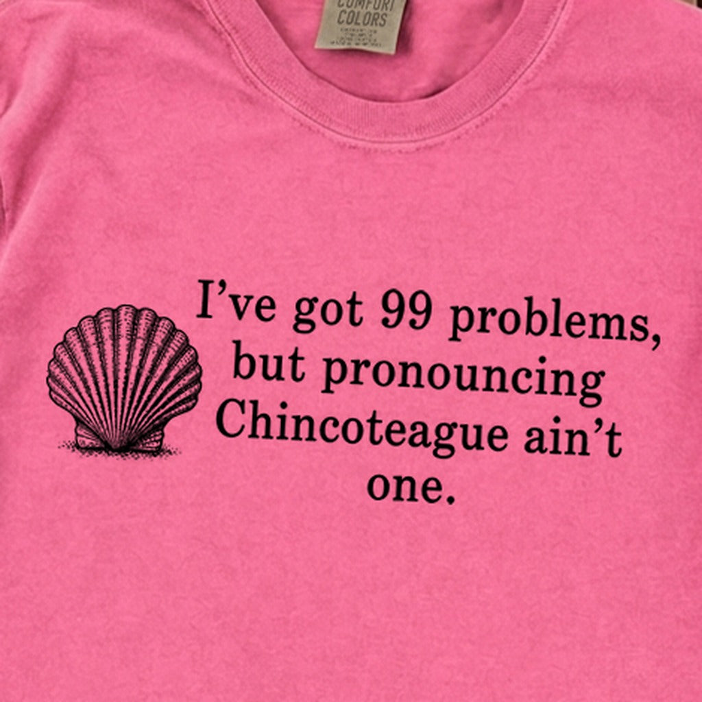 99 Problems Chincoteague Ain't One Premium Long Sleeve