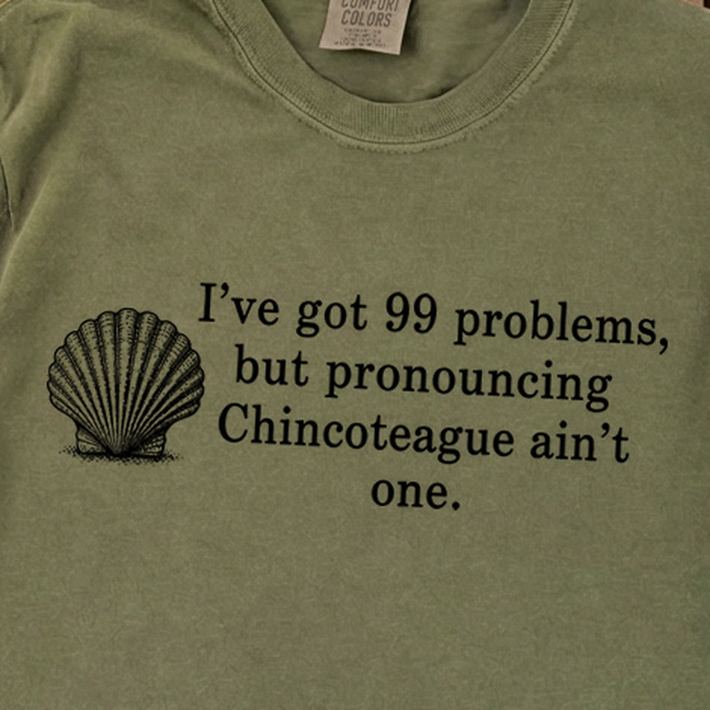 99 Problems Chincoteague Ain't One Premium Long Sleeve