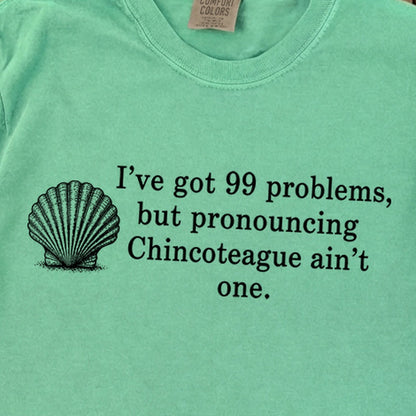 99 Problems Chincoteague Ain't One Premium Long Sleeve