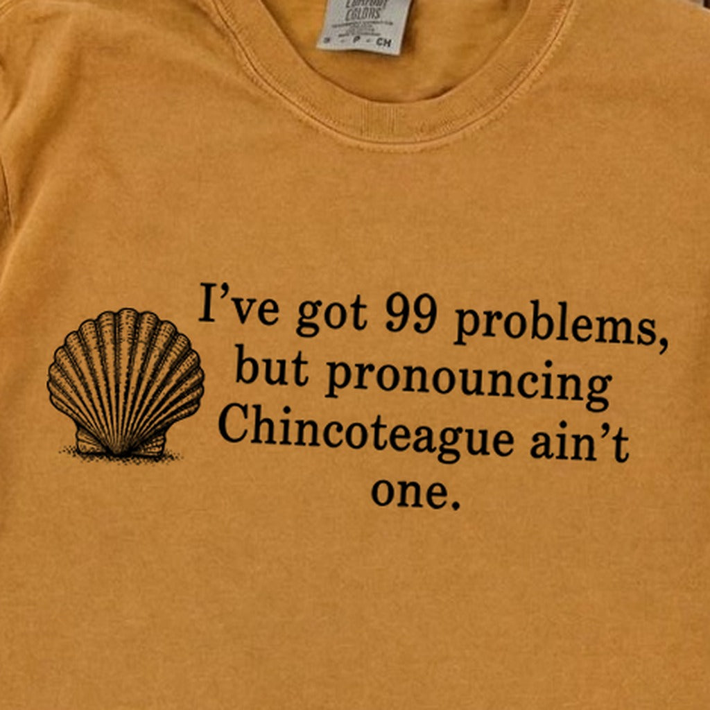 99 Problems Chincoteague Ain't One Premium Long Sleeve