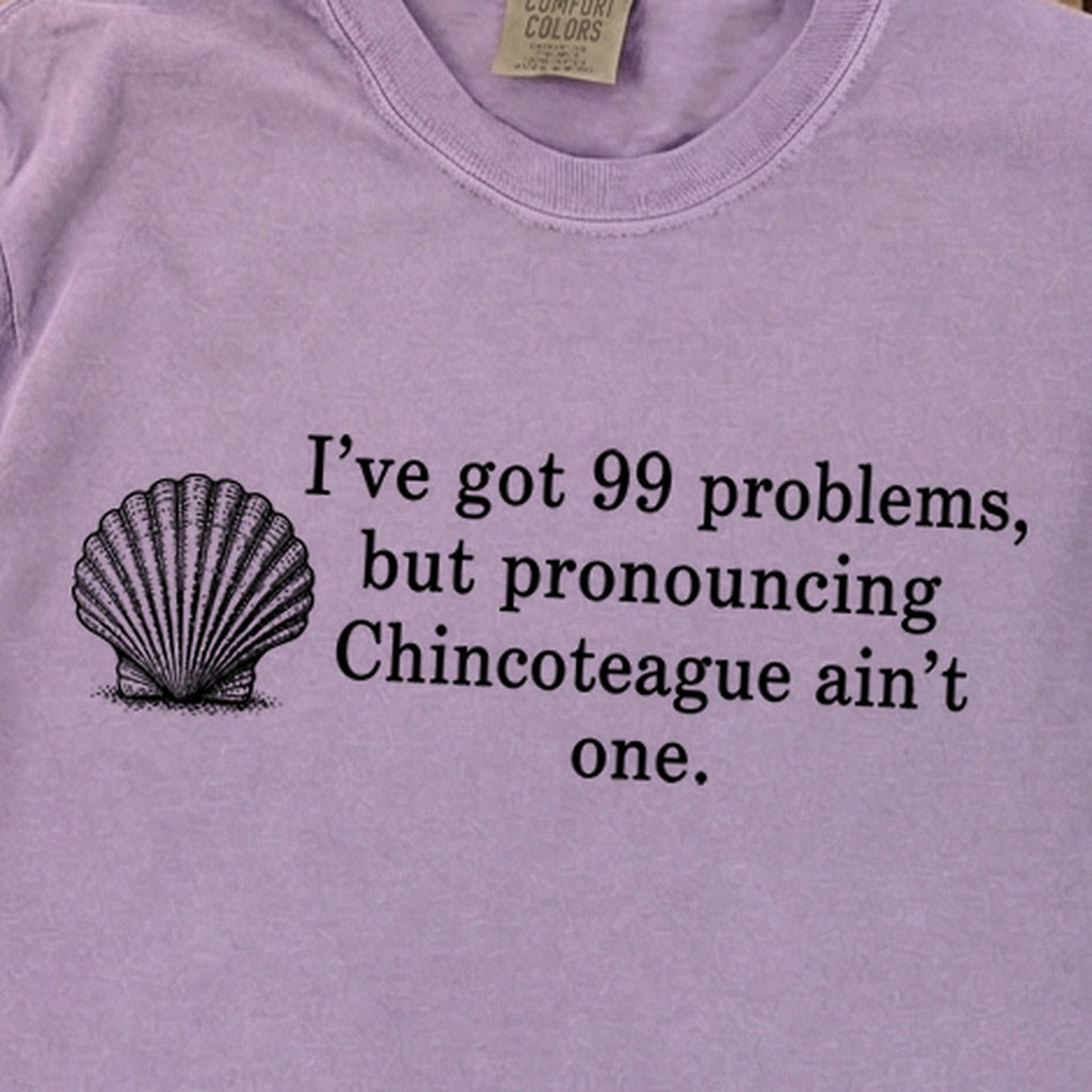 99 Problems Chincoteague Ain't One Premium Long Sleeve