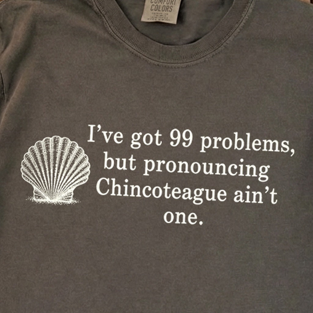 99 Problems Chincoteague Ain't One Premium Long Sleeve