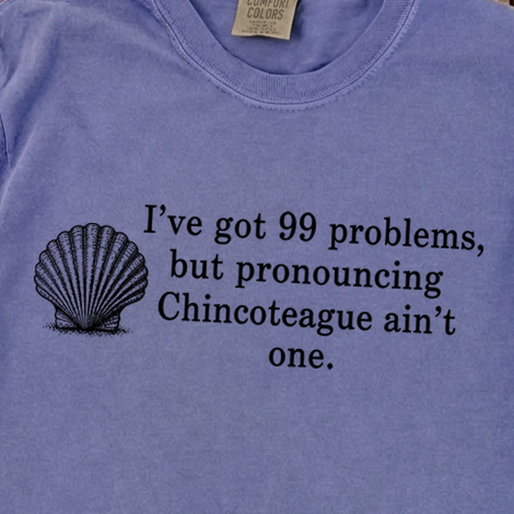 99 Problems Chincoteague Ain't One Premium Long Sleeve