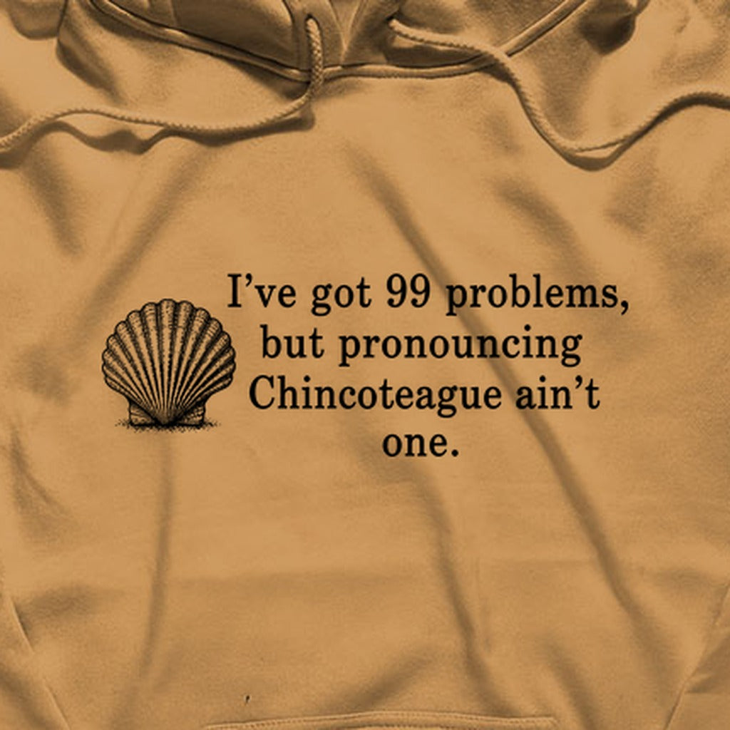 99 Problems Chincoteague Ain't One Hoodie