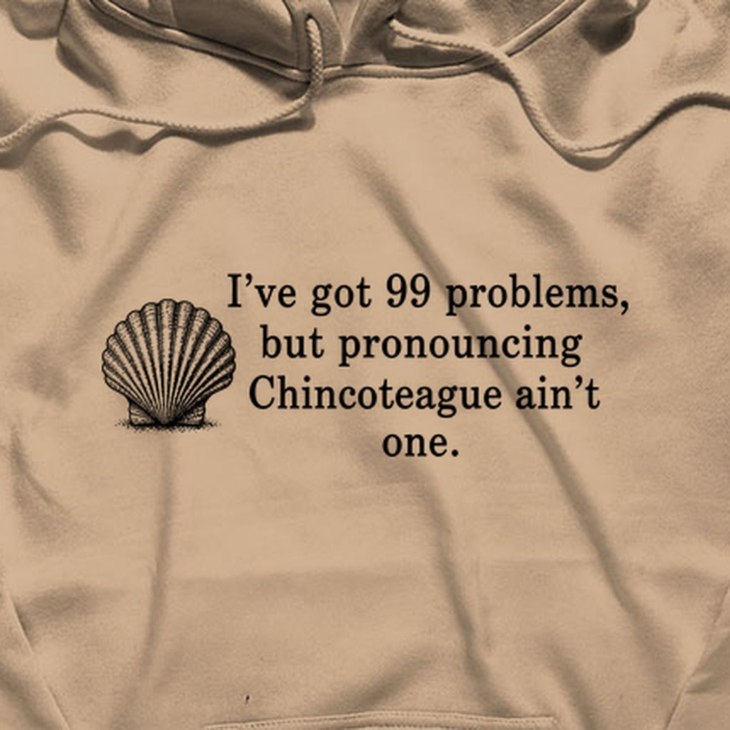 99 Problems Chincoteague Ain't One Hoodie