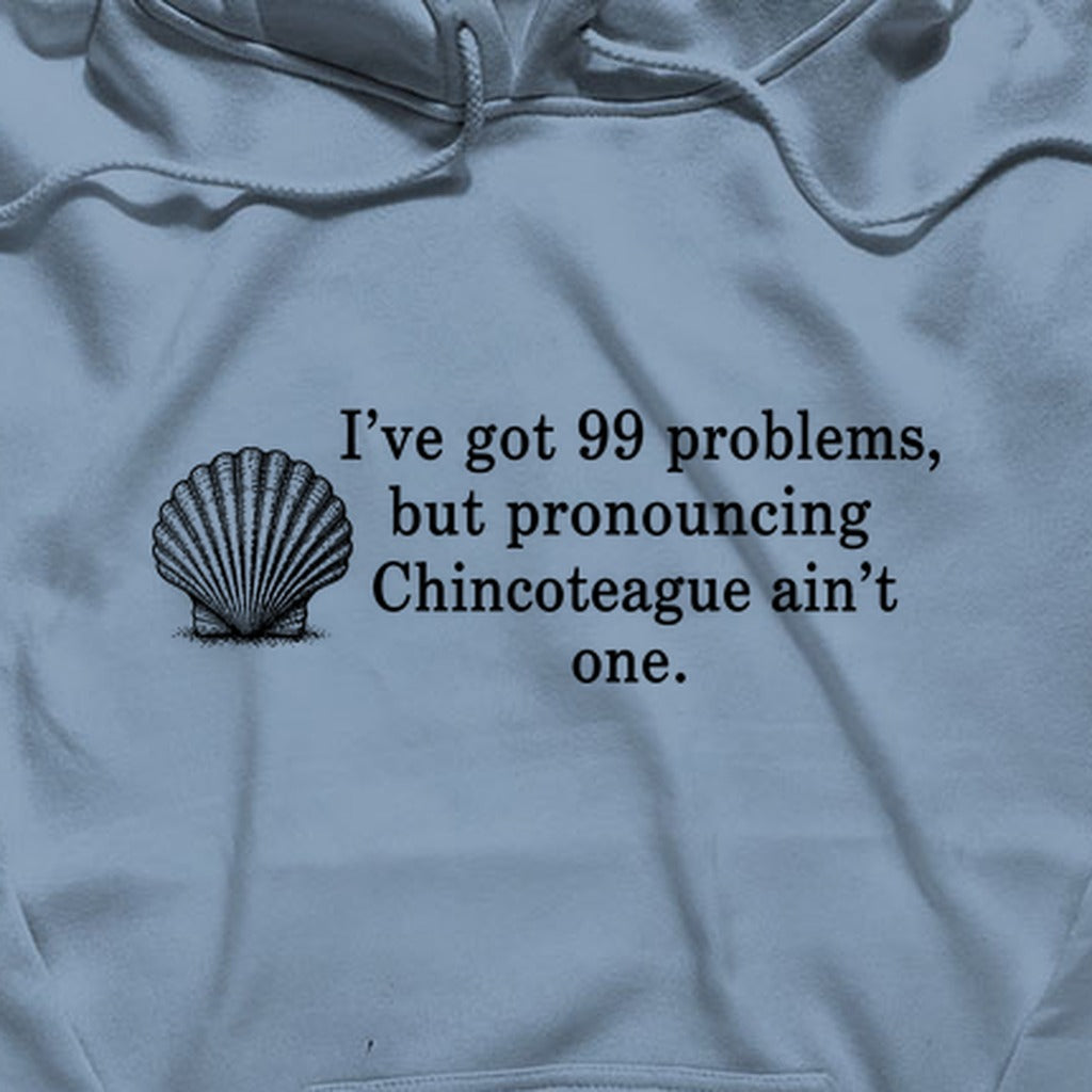 99 Problems Chincoteague Ain't One Hoodie