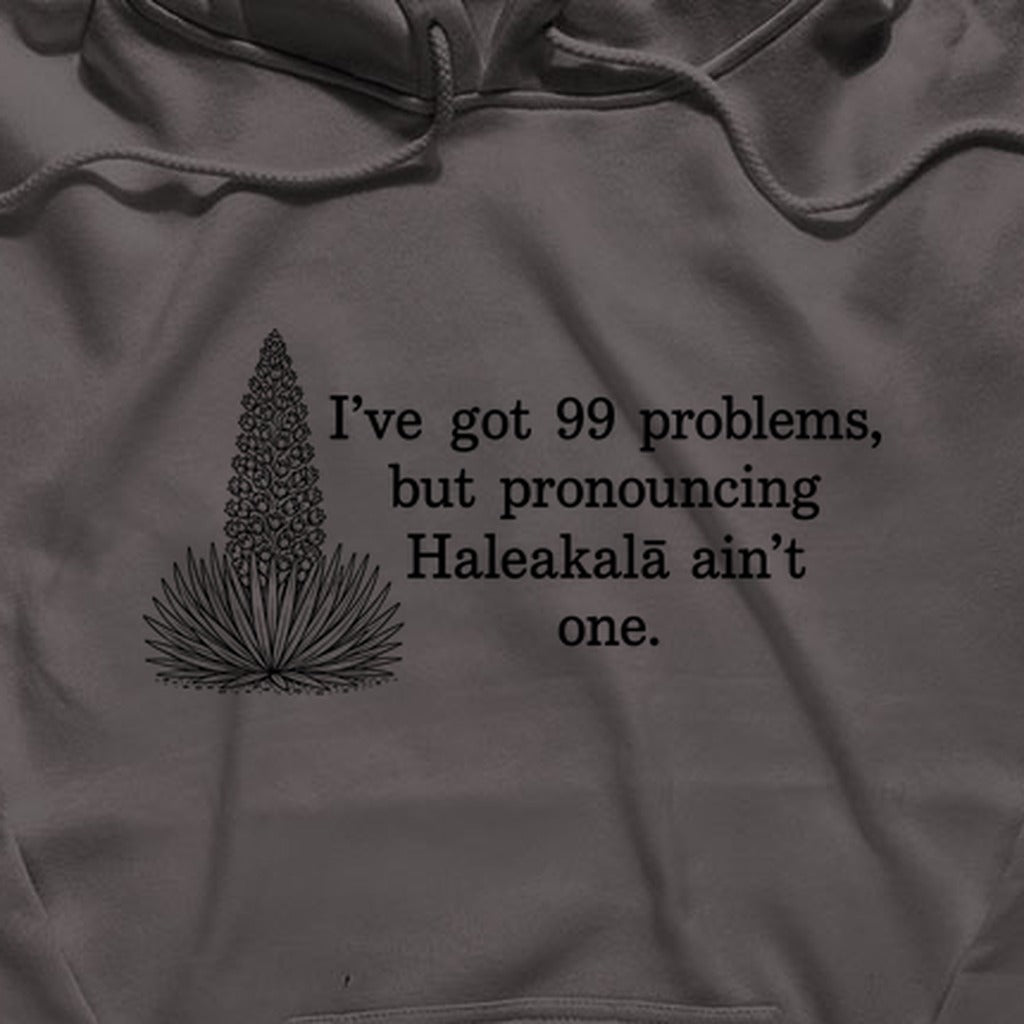 99 Problems Haleakala Ain't One Hoodie
