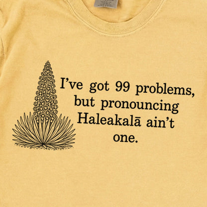 99 Problems Haleakala Ain't One Premium Long Sleeve